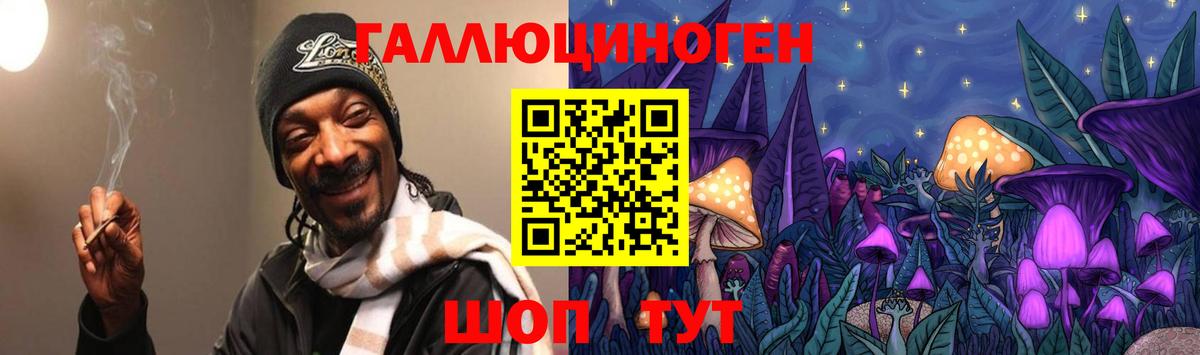Псилоцибиновые грибы GOLDEN TEACHER  хочу наркоту  Краснокаменск  Вход с VPN 